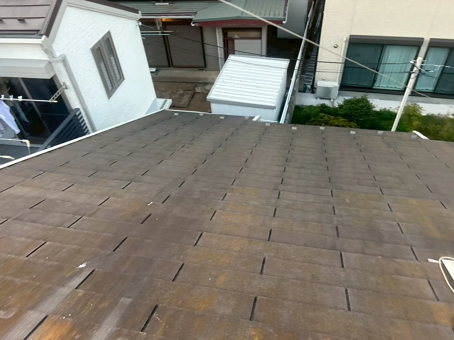 経年劣化により瓦に苔が発生しています。