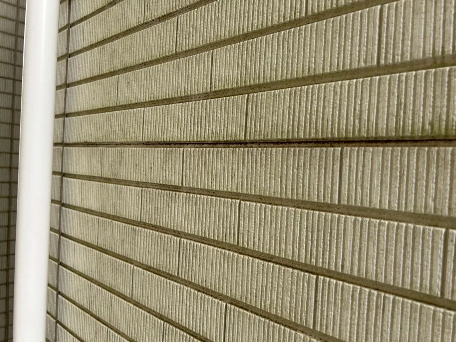 経年劣化により外壁表面に苔が発生しています。