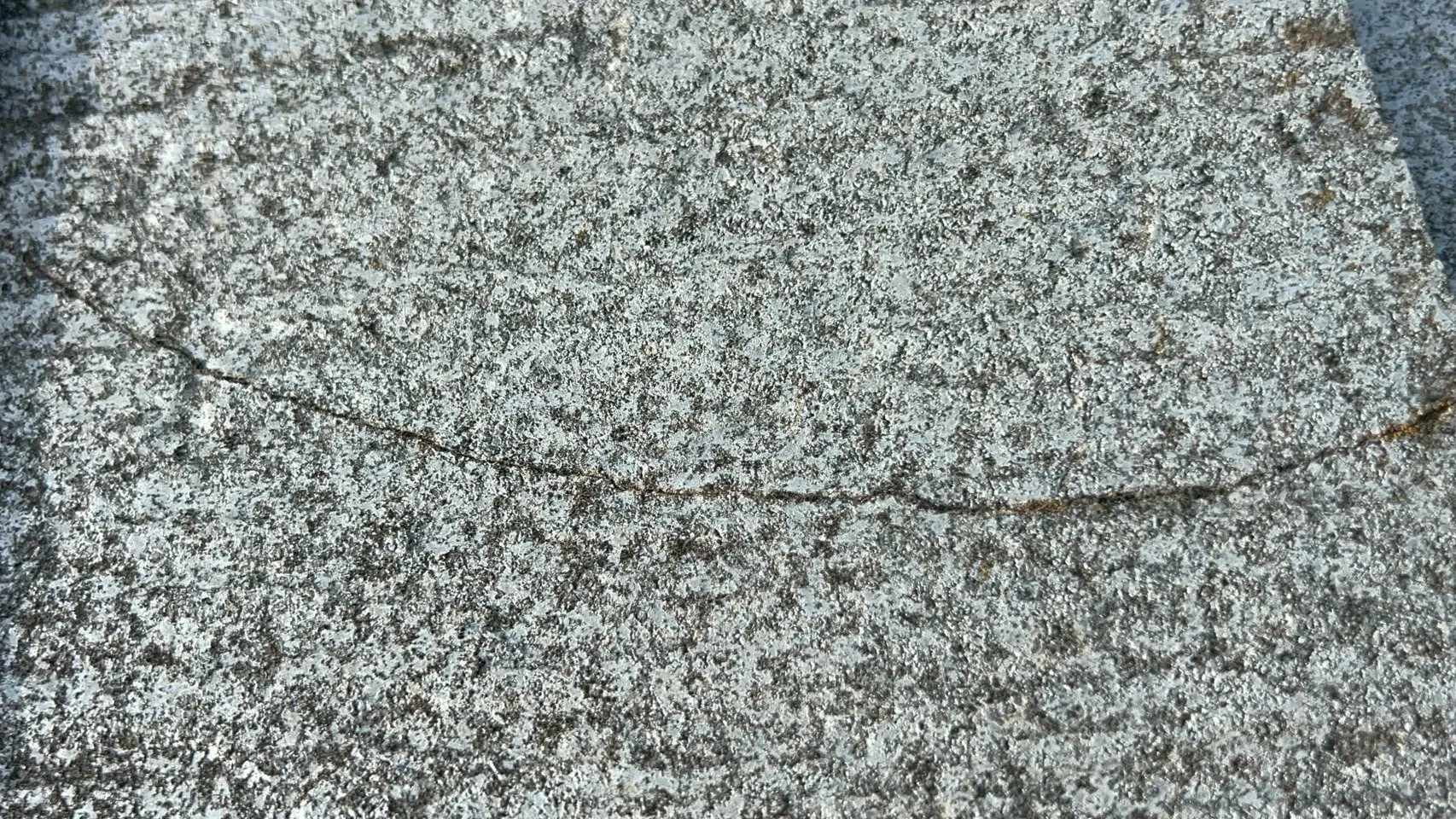 経年劣化により瓦に苔が発生しています。