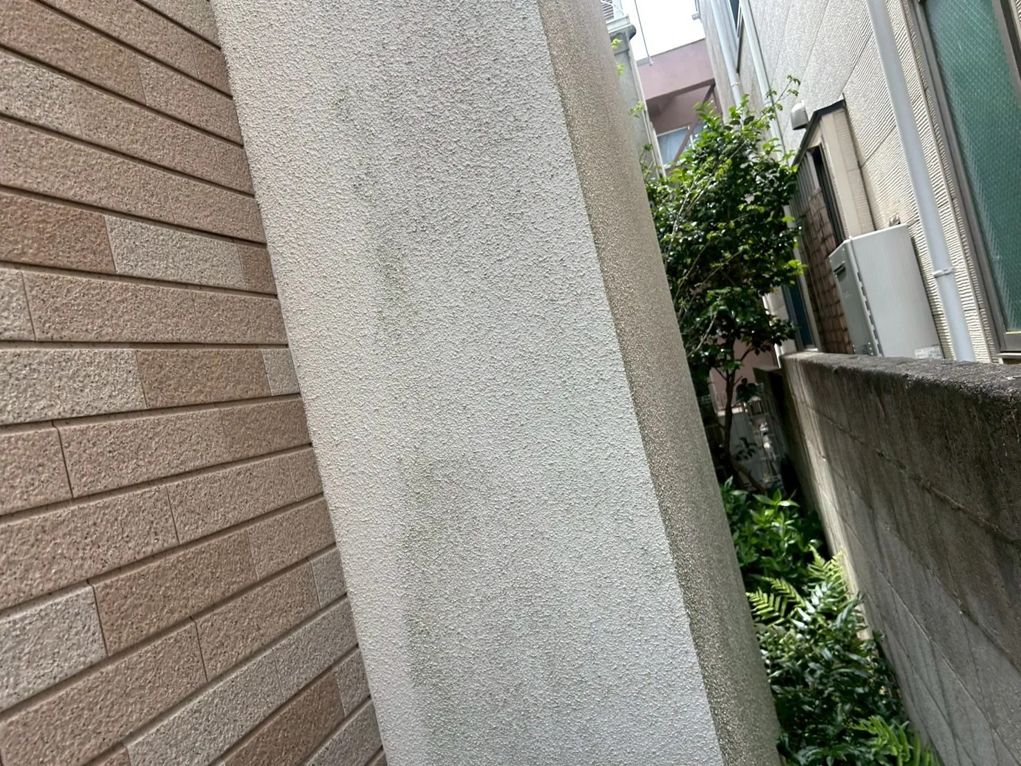 経年劣化により外壁表面に苔が発生しています。