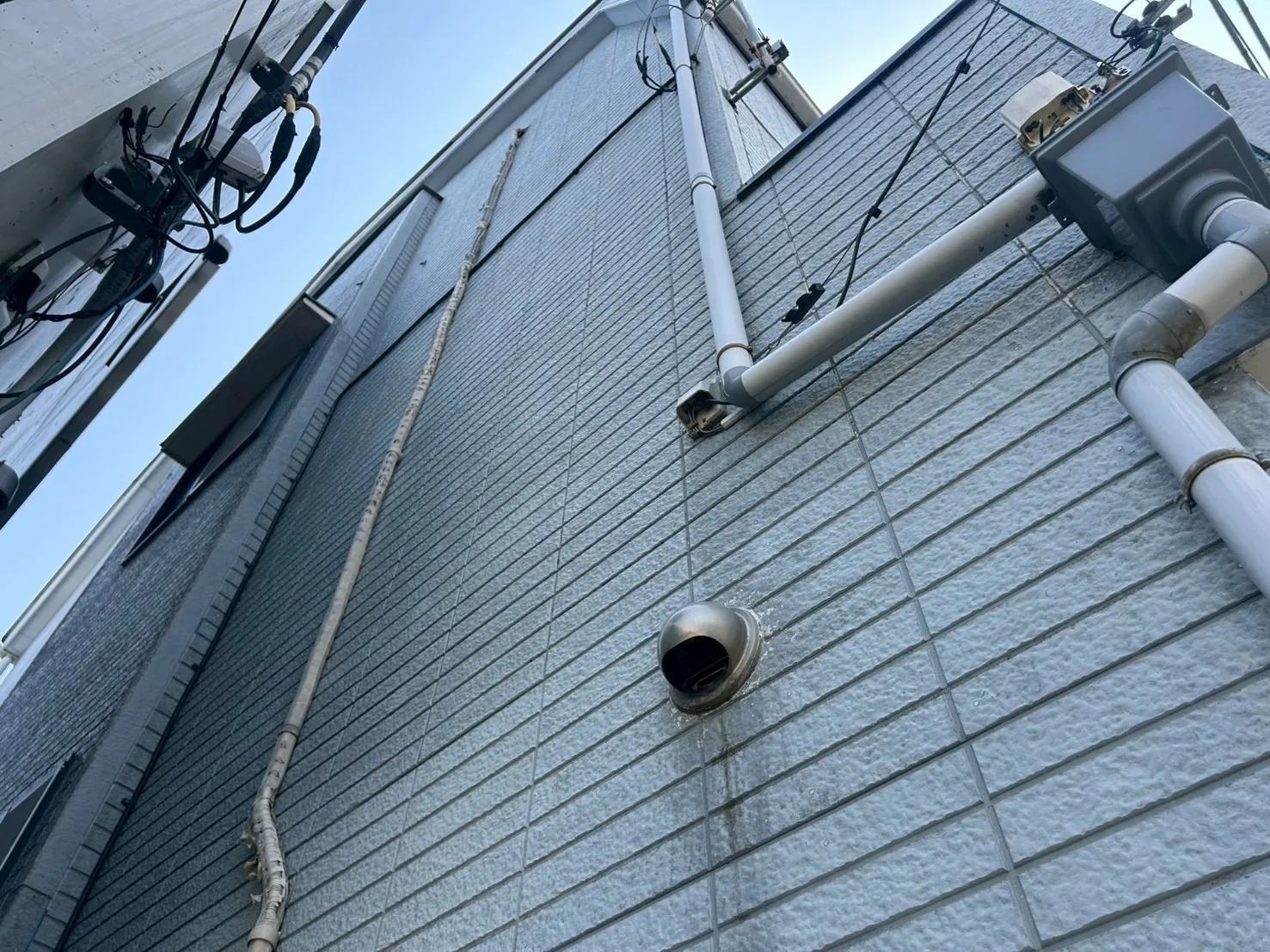 経年劣化により外壁に苔が発生しています。